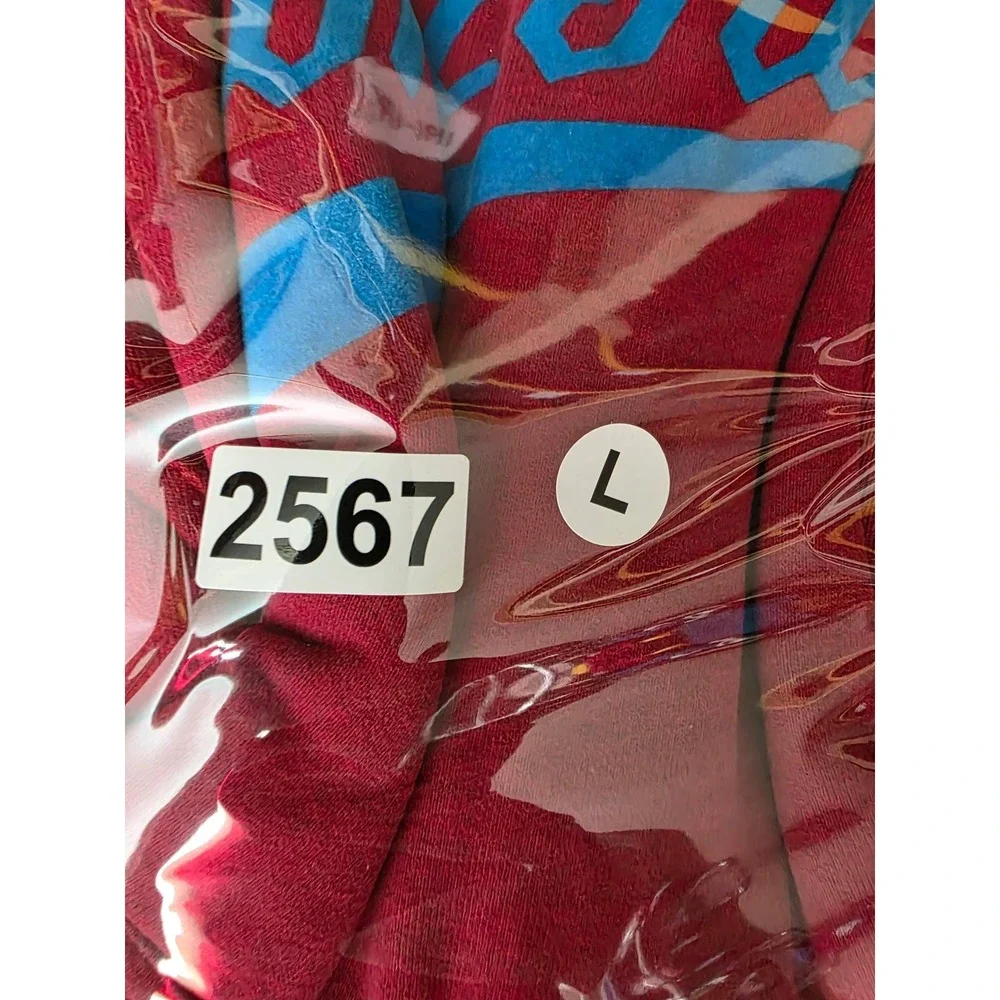 The North Face Mens Large Red Blue Script Graphic Pullover Hoodie Sweatshirt